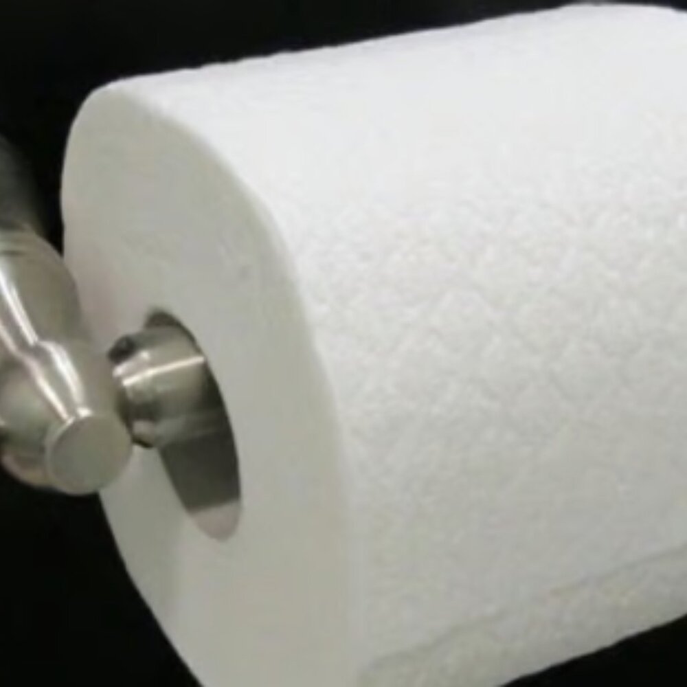 Pegasus Bathroom Paper Holder BAF30000BN